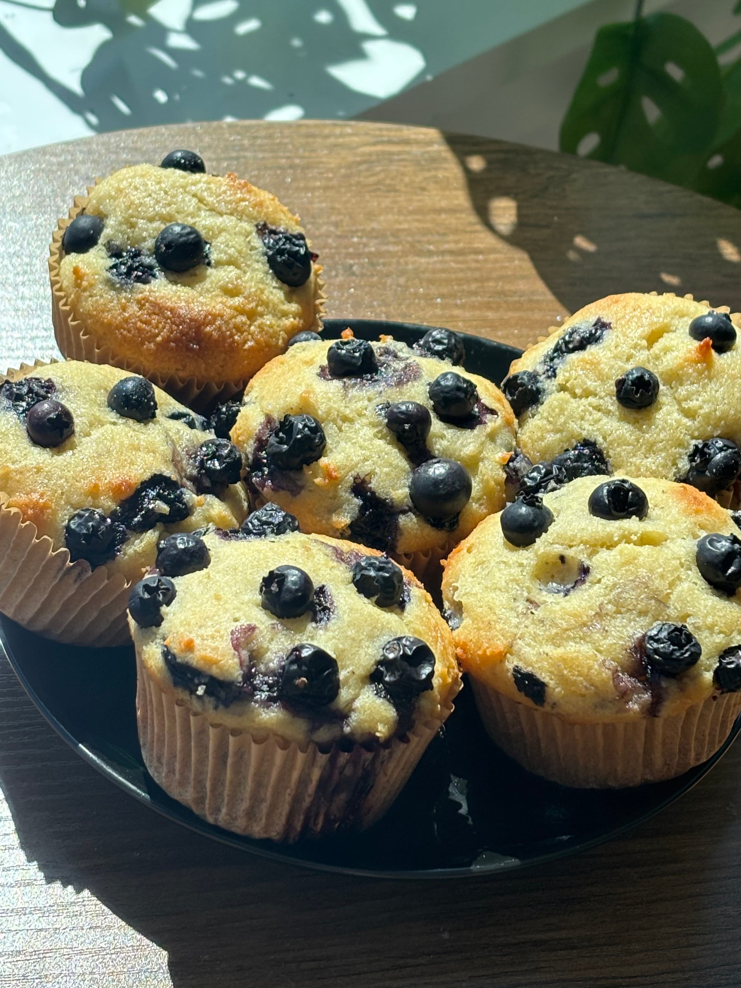 Gluten Free Blueberry Protein Muffins